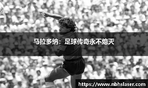 NG体育