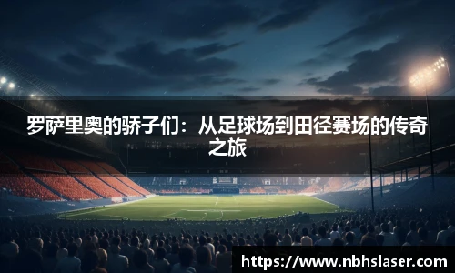 NG体育首页