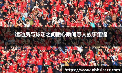 NG体育平台