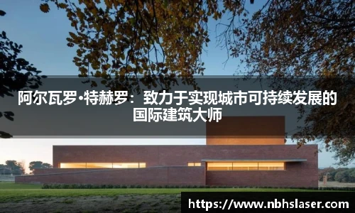 NG体育首页